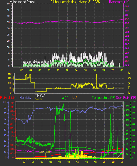 24 Hour Graph for Day 31